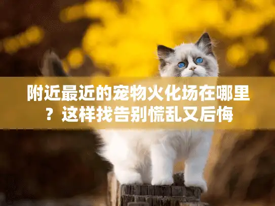 附近最近的宠物火化场在哪里？这样找告别慌乱又后悔