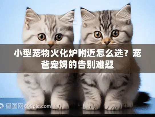 小型宠物火化炉附近怎么选？宠爸宠妈的告别难题