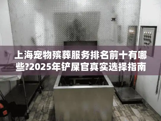上海宠物殡葬服务排名前十有哪些?2025年铲屎官真实选择指南