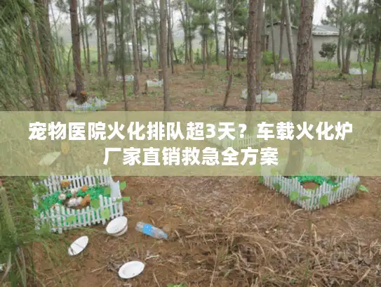 宠物医院火化排队超3天？车载火化炉厂家直销救急全方案