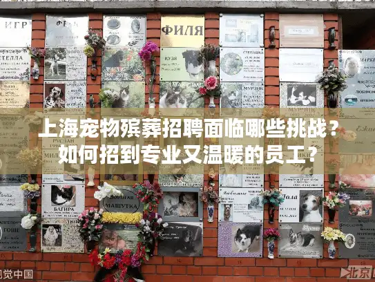 上海宠物殡葬招聘面临哪些挑战？如何招到专业又温暖的员工？