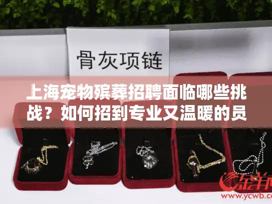上海宠物殡葬招聘面临哪些挑战？如何招到专业又温暖的员工？