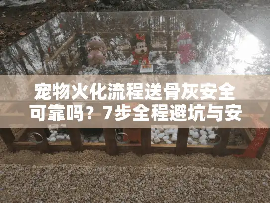 宠物火化流程送骨灰安全可靠吗？7步全程避坑与安心选择指南