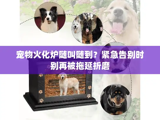 宠物火化炉随叫随到？紧急告别时别再被拖延折磨