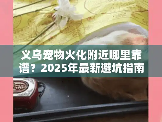 义乌宠物火化附近哪里靠谱？2025年最新避坑指南