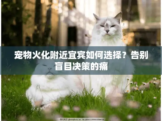 宠物火化附近宜宾如何选择？告别盲目决策的痛