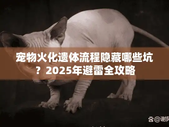 宠物火化遗体流程隐藏哪些坑？2025年避雷全攻略