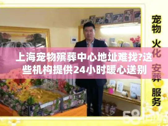 上海宠物殡葬中心地址难找?这些机构提供24小时暖心送别