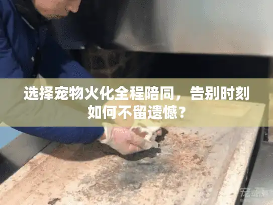 选择宠物火化全程陪同，告别时刻如何不留遗憾？