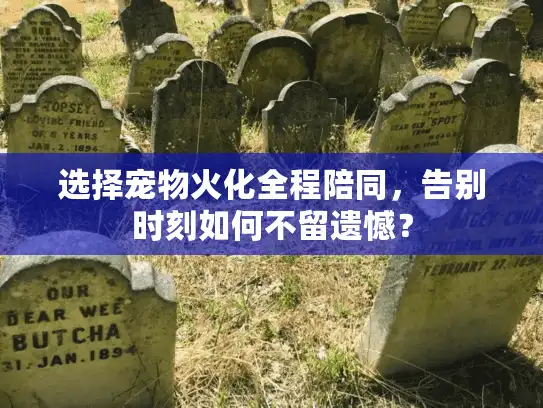 选择宠物火化全程陪同，告别时刻如何不留遗憾？