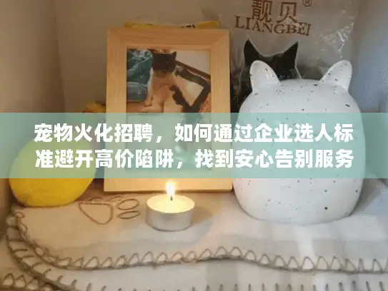 宠物火化招聘，如何通过企业选人标准避开高价陷阱，找到安心告别服务？