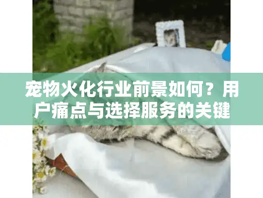 宠物火化行业前景如何？用户痛点与选择服务的关键指南