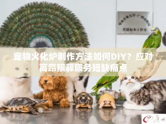 宠物火化炉制作方法如何DIY？应对高昂殡葬服务短缺痛点