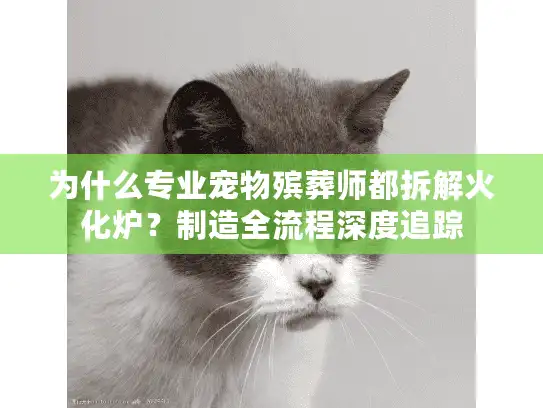 为什么专业宠物殡葬师都拆解火化炉？制造全流程深度追踪