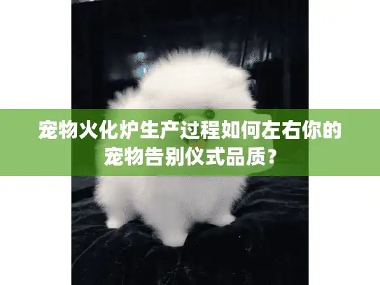 宠物火化炉生产过程如何左右你的宠物告别仪式品质？