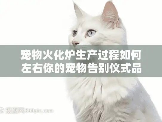 宠物火化炉生产过程如何左右你的宠物告别仪式品质？