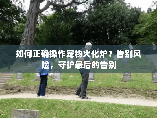 如何正确操作宠物火化炉？告别风险，守护最后的告别