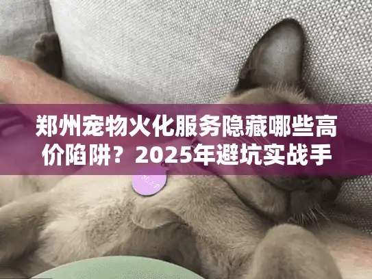郑州宠物火化服务隐藏哪些高价陷阱？2025年避坑实战手册