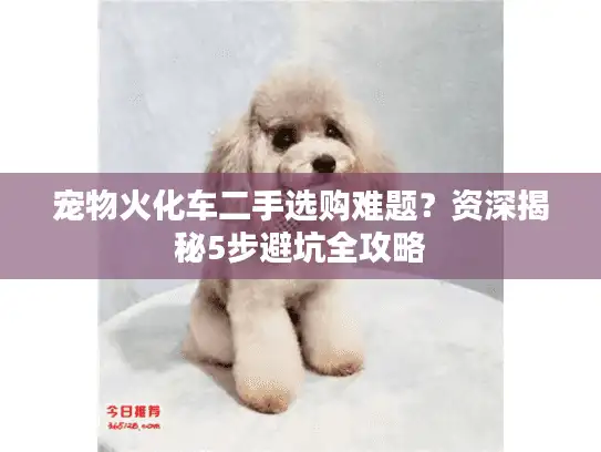 宠物火化车二手选购难题？资深揭秘5步避坑全攻略