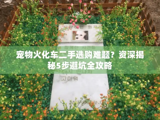宠物火化车二手选购难题？资深揭秘5步避坑全攻略