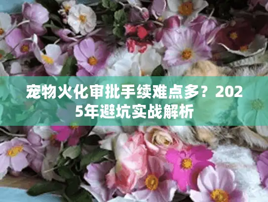 宠物火化审批手续难点多？2025年避坑实战解析