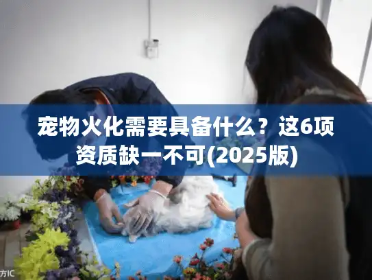宠物火化需要具备什么？这6项资质缺一不可(2025版)