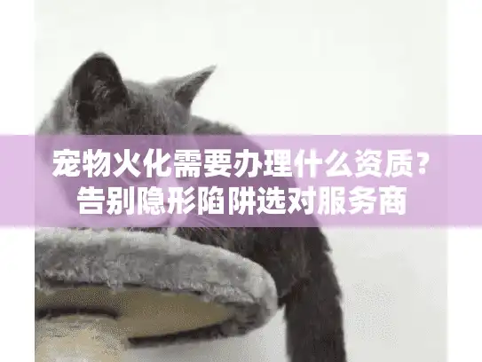 宠物火化需要办理什么资质？告别隐形陷阱选对服务商