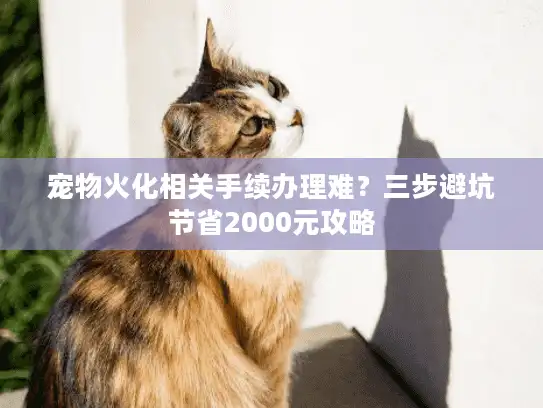 宠物火化相关手续办理难？三步避坑节省2000元攻略