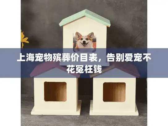 上海宠物殡葬价目表，告别爱宠不花冤枉钱