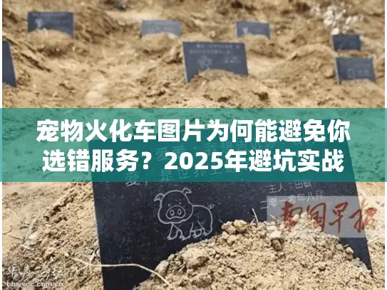 宠物火化车图片为何能避免你选错服务？2025年避坑实战分析
