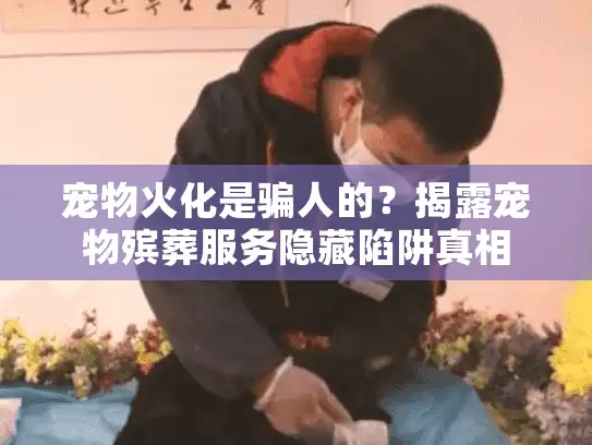 宠物火化是骗人的？揭露宠物殡葬服务隐藏陷阱真相