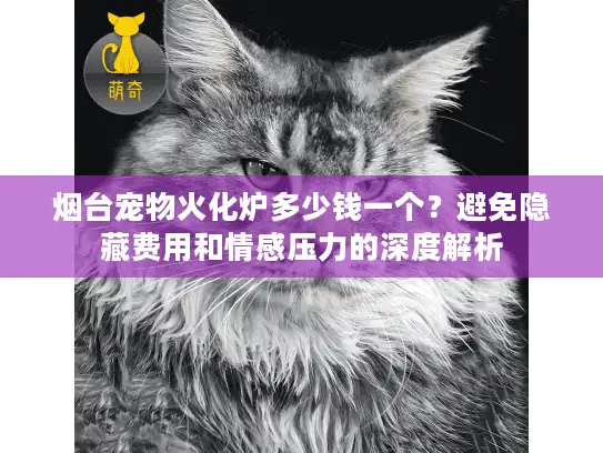 烟台宠物火化炉多少钱一个？避免隐藏费用和情感压力的深度解析
