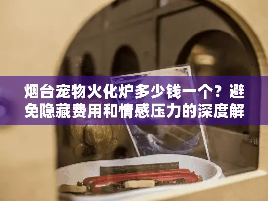烟台宠物火化炉多少钱一个？避免隐藏费用和情感压力的深度解析