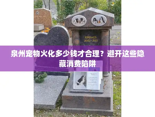 泉州宠物火化多少钱才合理？避开这些隐藏消费陷阱