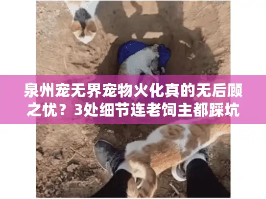 泉州宠无界宠物火化真的无后顾之忧？3处细节连老饲主都踩坑