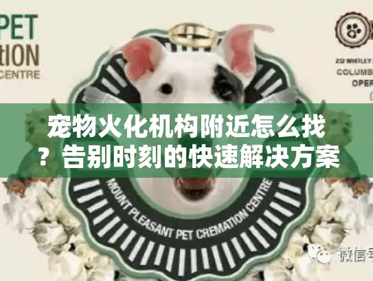 宠物火化机构附近怎么找？告别时刻的快速解决方案