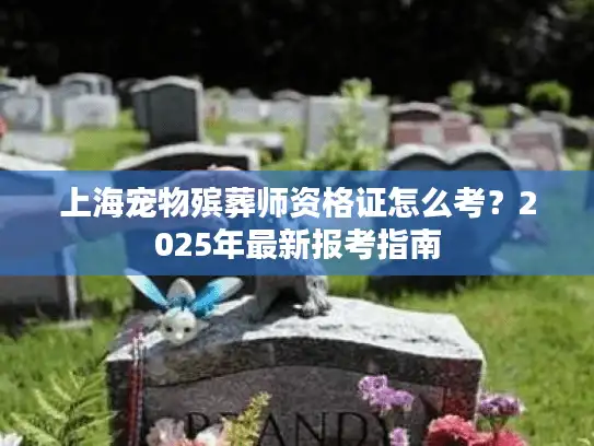 上海宠物殡葬师资格证怎么考？2025年最新报考指南