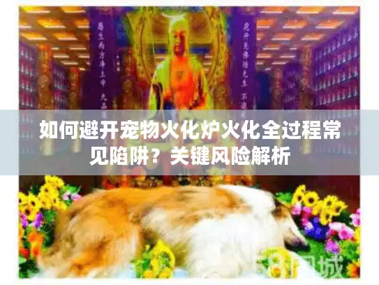 如何避开宠物火化炉火化全过程常见陷阱？关键风险解析