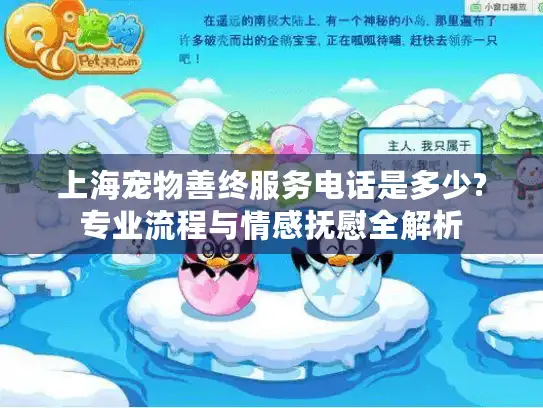 上海宠物善终服务电话是多少?专业流程与情感抚慰全解析
