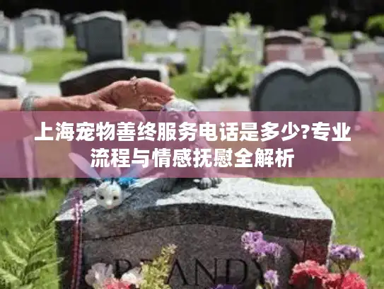 上海宠物善终服务电话是多少?专业流程与情感抚慰全解析