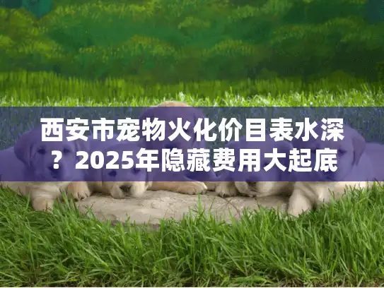 西安市宠物火化价目表水深？2025年隐藏费用大起底