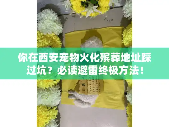 你在西安宠物火化殡葬地址踩过坑？必读避雷终极方法！