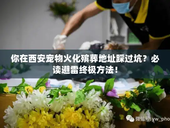 你在西安宠物火化殡葬地址踩过坑？必读避雷终极方法！