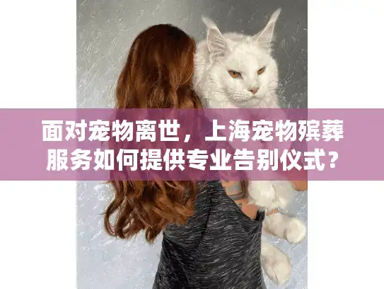 面对宠物离世，上海宠物殡葬服务如何提供专业告别仪式？