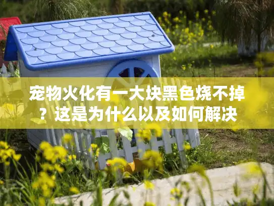 宠物火化有一大块黑色烧不掉？这是为什么以及如何解决