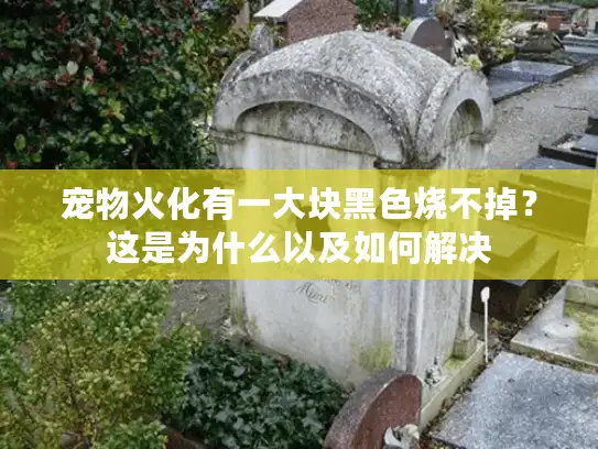 宠物火化有一大块黑色烧不掉？这是为什么以及如何解决