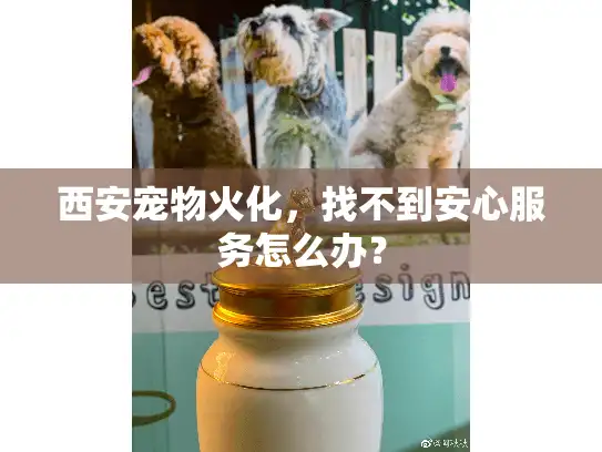 西安宠物火化，找不到安心服务怎么办？