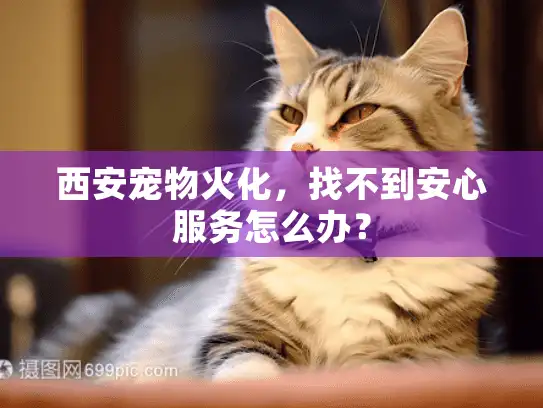 西安宠物火化，找不到安心服务怎么办？