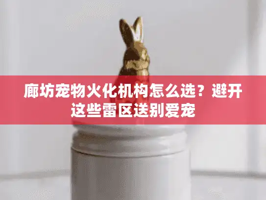 廊坊宠物火化机构怎么选？避开这些雷区送别爱宠