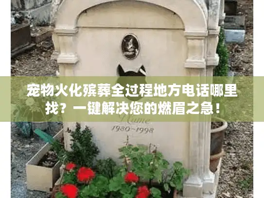 宠物火化殡葬全过程地方电话哪里找？一键解决您的燃眉之急！